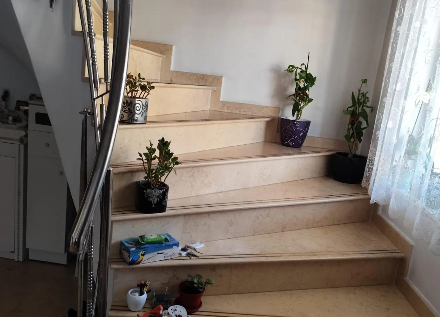 Vila Elena Boekarest Accommodatie bij particulieren
